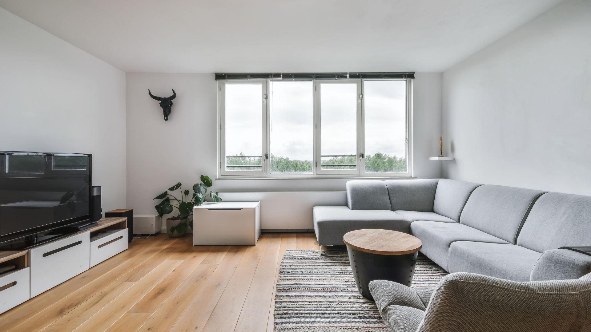 Minimalist living room with gray sofa, wooden floors, and large windows