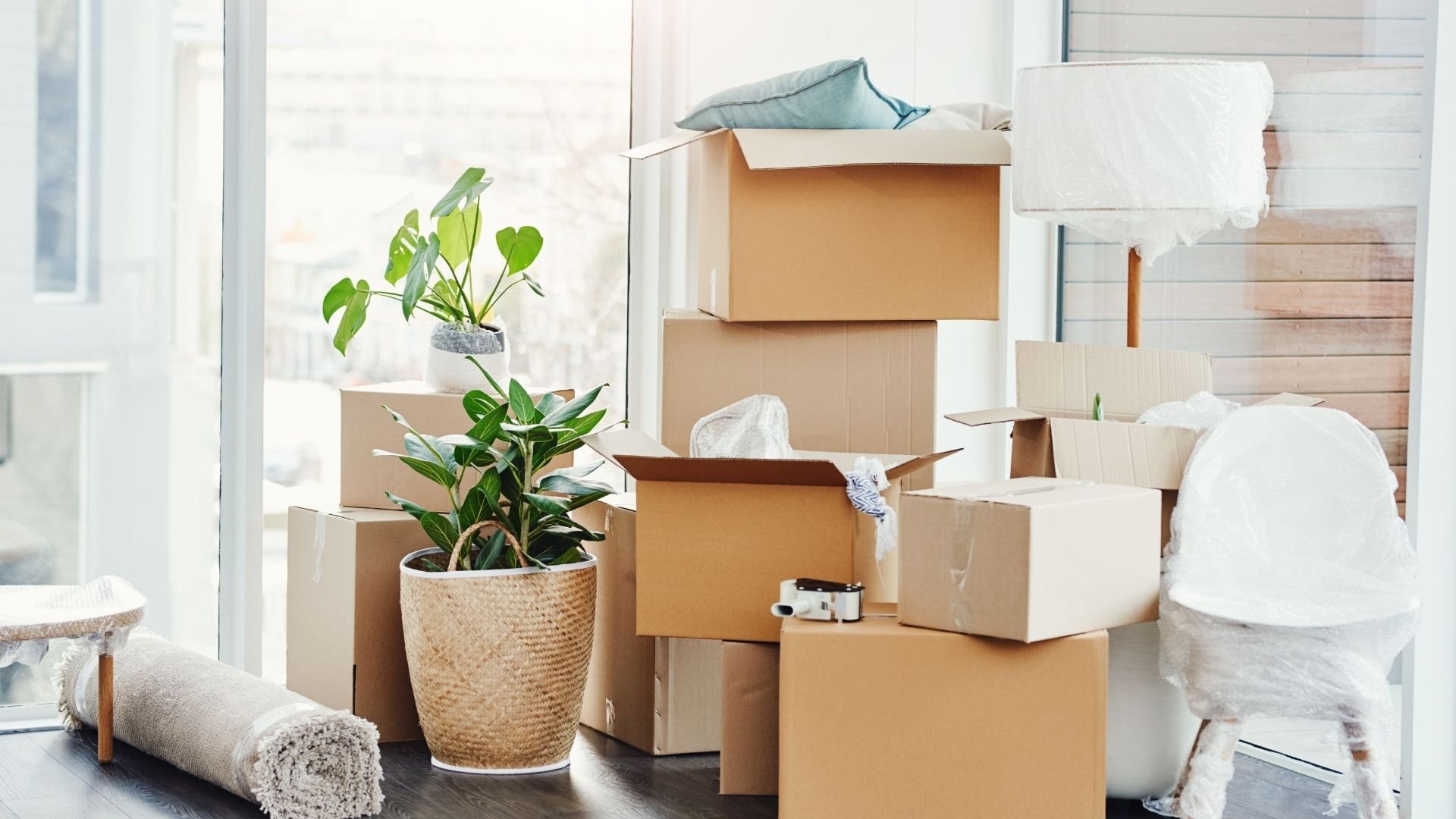 Moving boxes, plants, and packing materials in a bright, minimalist space